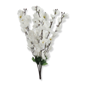 Bukiet jabłoń x7 HD720126