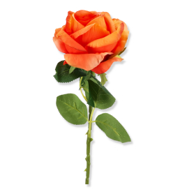Róża gałazka 75cm LR2201016