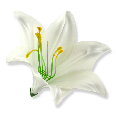 56607 cream