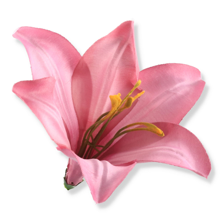 56607 dk pink