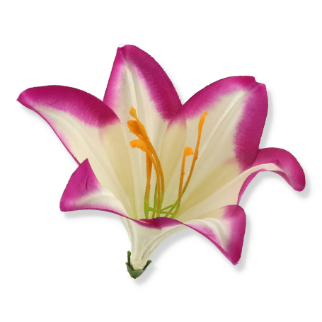 56607 white lavender