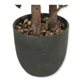 Drzewo róży TREE036