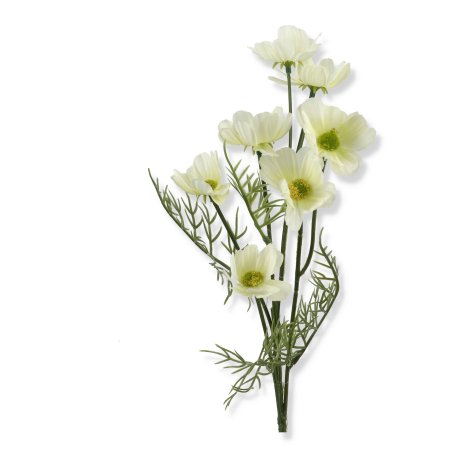 68113 white
