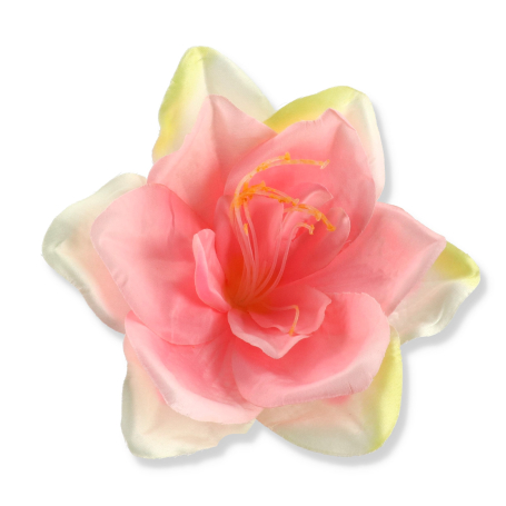 55010 lt pink