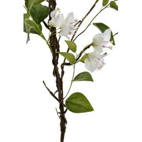 Bugenwilla gałązka YD390