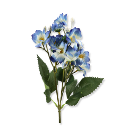 Gałązka prymułki LIU473