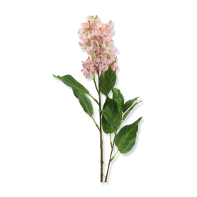 Gałązka Bzu KLM1131