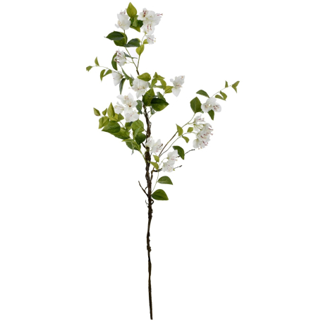 68138 cream