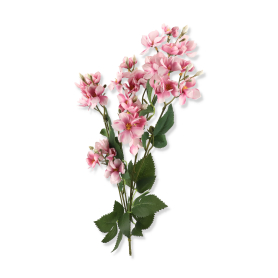 Gałązka Jaśmin LIU475