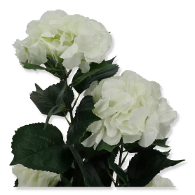 Hortensja w doniczce 100 cm VIP6479