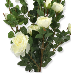 Róża w doniczce 130 cm VIP6483