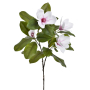 60647 white lt pink