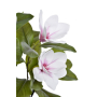 60647 white lt pink_1