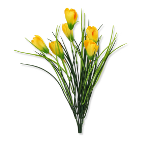 Bukiet Krokusów BUA2205