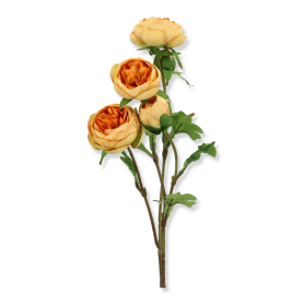 Jaskier gałązka pojedyncza 9728