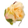 52388 peach