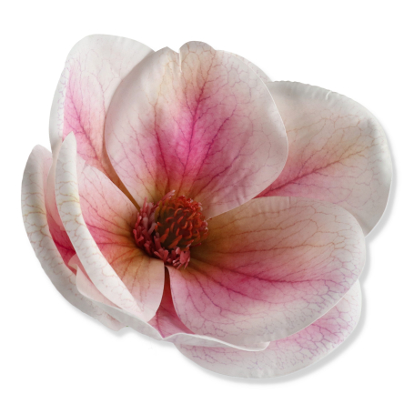 60245 lt pink