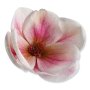 60245 lt pink