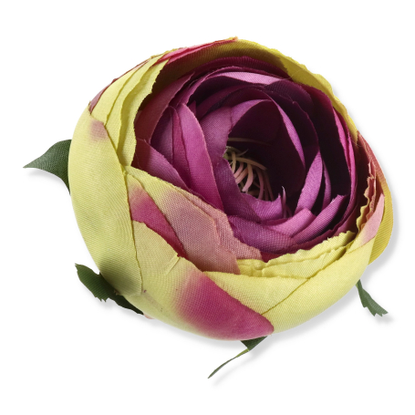 57729 lavender green