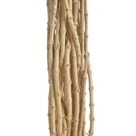 Pędy florystyczne SW12941APC