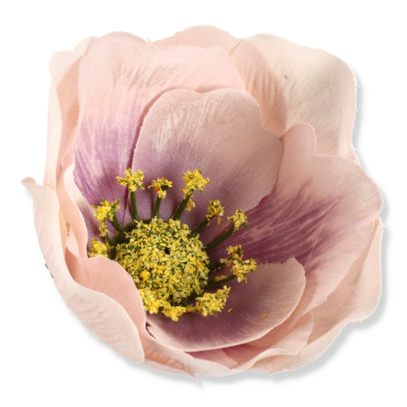 57916 cream lilac