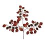 60894 autumn