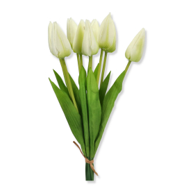 Bukiet Tulipanów 0130