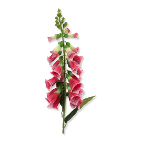 Naparstnicza gałązka pojedyncza VIP6978/MIX(6)