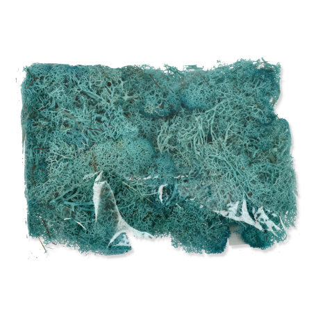 3060 turquoise