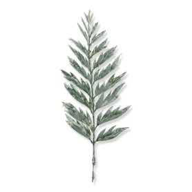 Liść bielony T159-24-2145