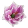 56608 lilac
