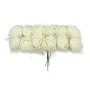60996 cream