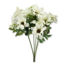 Bukiet margaritka x6 HD3050205