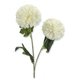 Chryzantema gałązka pojedyncza DL050586