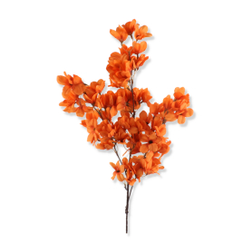 Gałązka Jabłonki 1210262