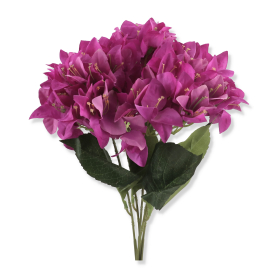 Bukiet Hortensji 23216006