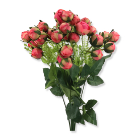 Bukiet piwonia kulka x10 LR23208015