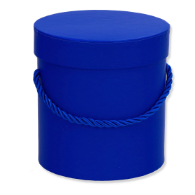 box12 royal blue