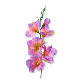 52089 lt lilac