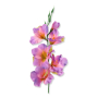 52089 lt lilac