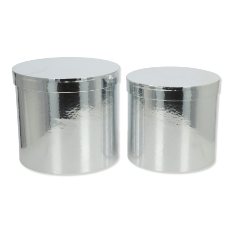 08131 silver