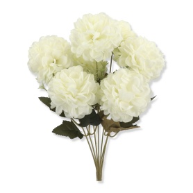 Bukiet cynii x7 AK2063