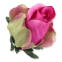 51553 aut pink green