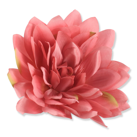 50527 aut pink