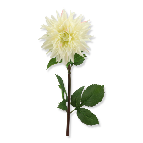 68171 white