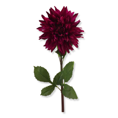 68171 purple
