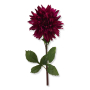 68171 purple