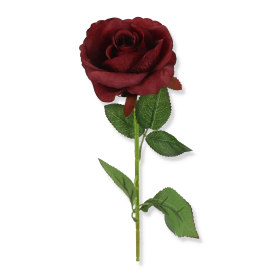 Róża gałązka pojedyncza DL030511