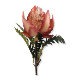 Karczoch gałazka pojedyncza KPA0730