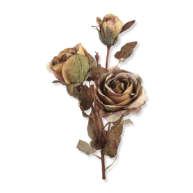 Róża gałązka pojedyncza KPA3714